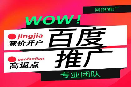 搜索引擎营销（SEM）的推广优化技巧——案例研究